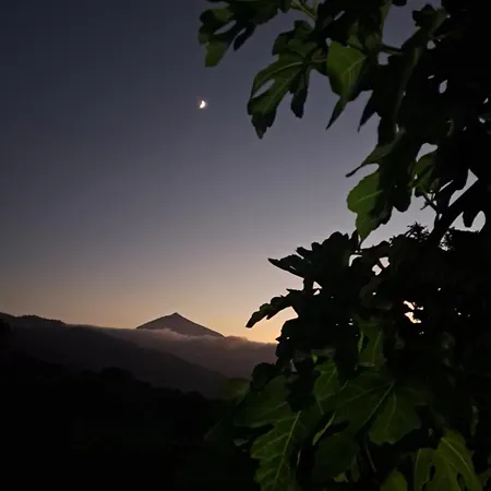 Mar De Estrellas *